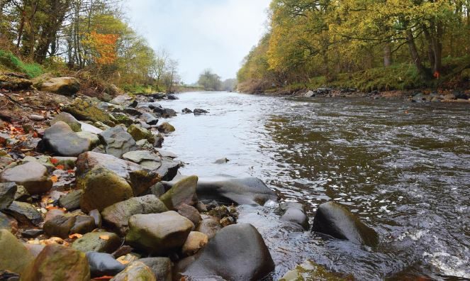 Extreme weather poses grave danger to river life