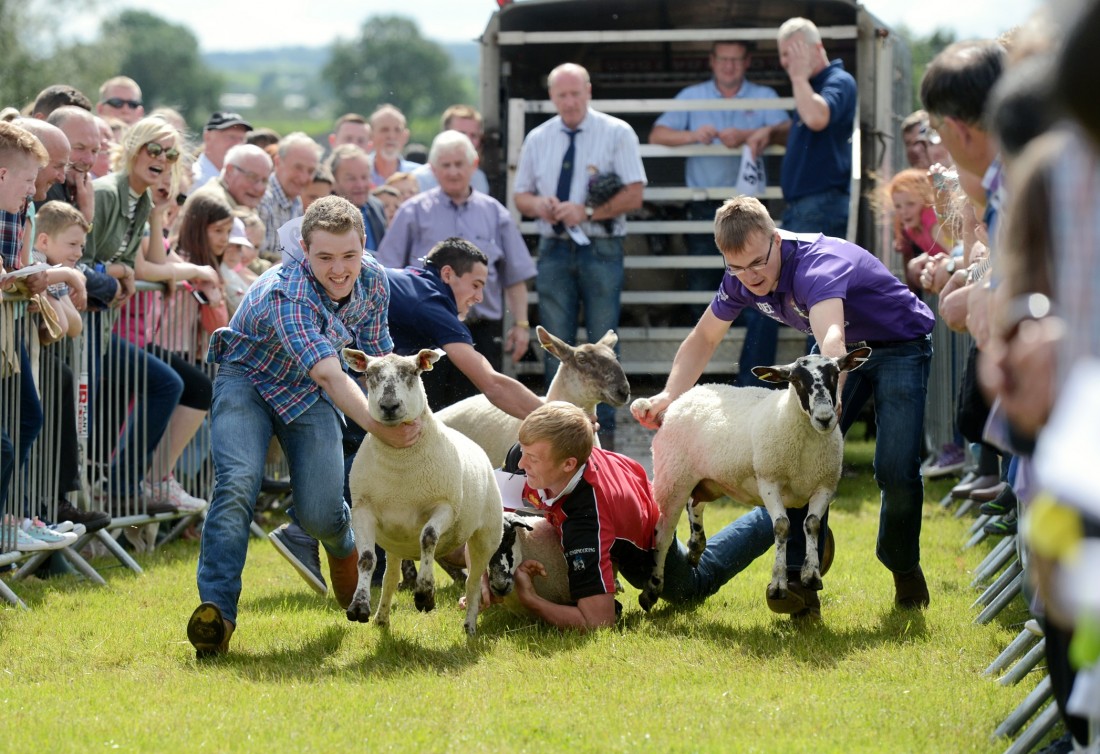 Omagh Show 2020 has been cancelled