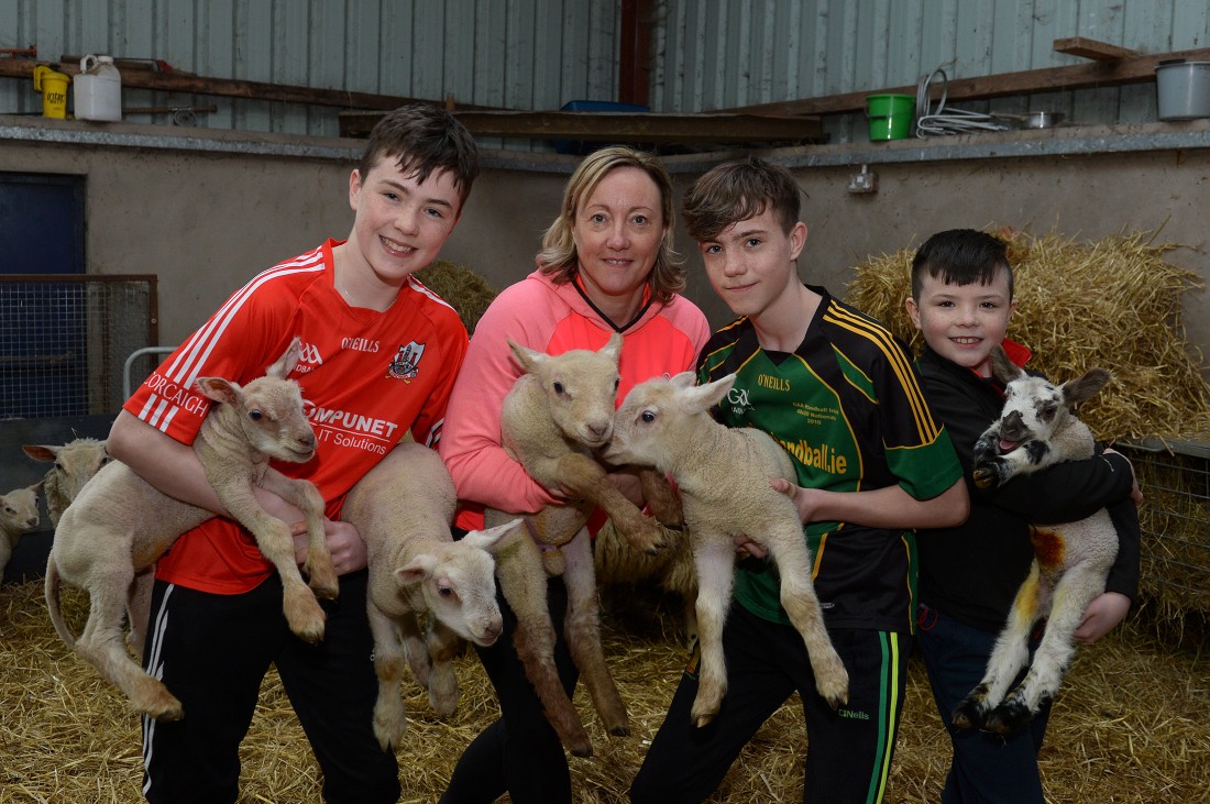 High five: Local Farmer’s joy at rare quintuplet lambs