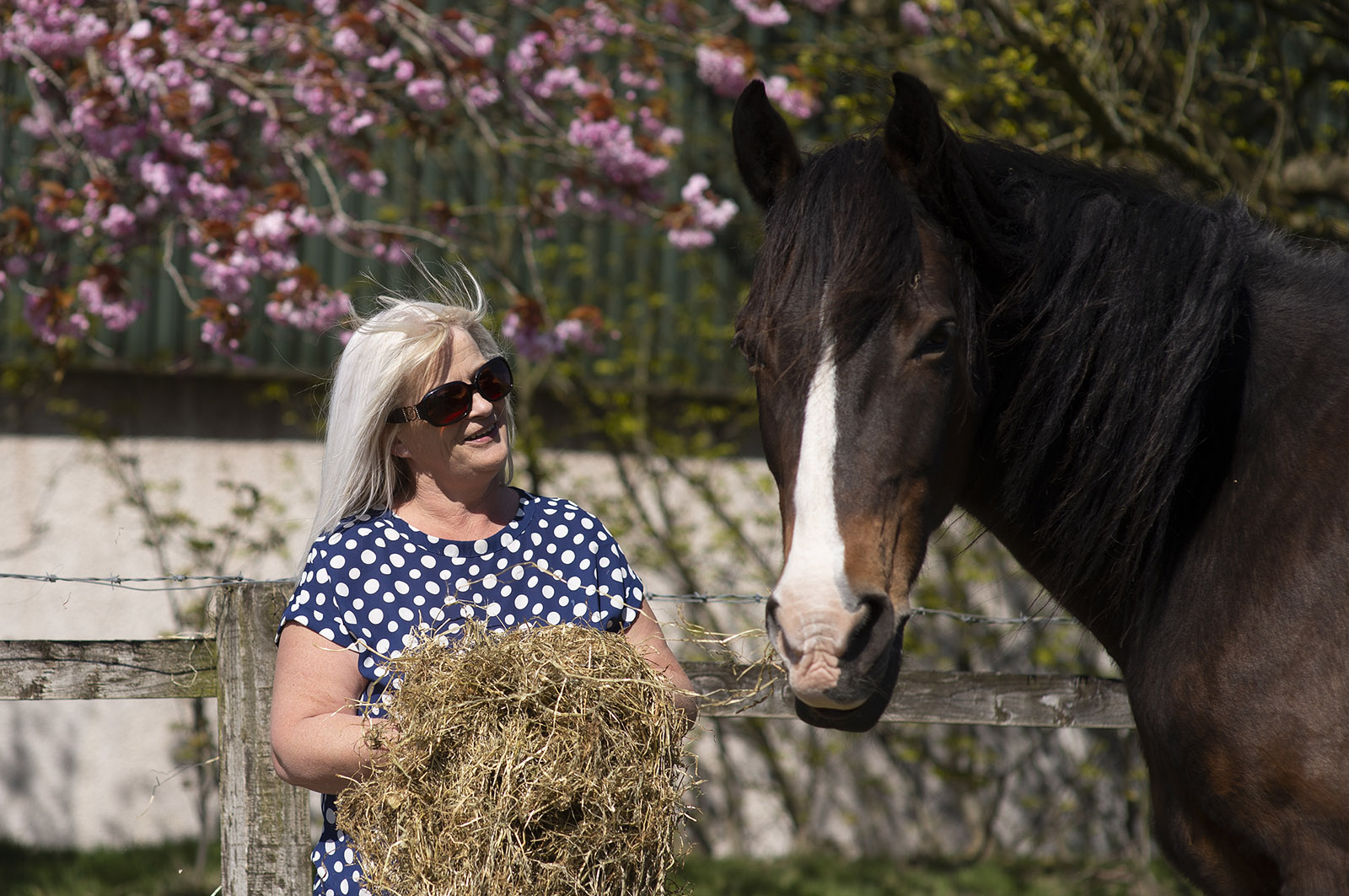 Lockdown taking a toll on horse riding charity