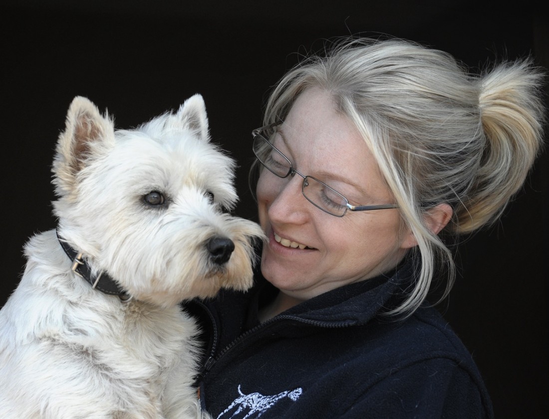 Animal lovers help homeless Serbian dogs