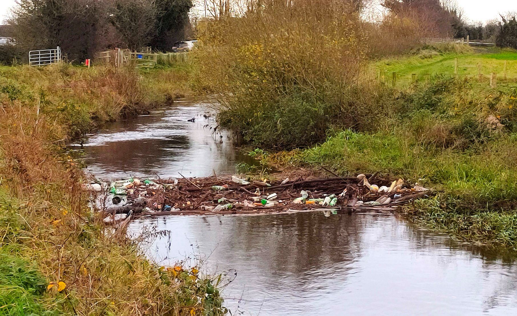 Coalisland canal rubbish putting wildlife in danger