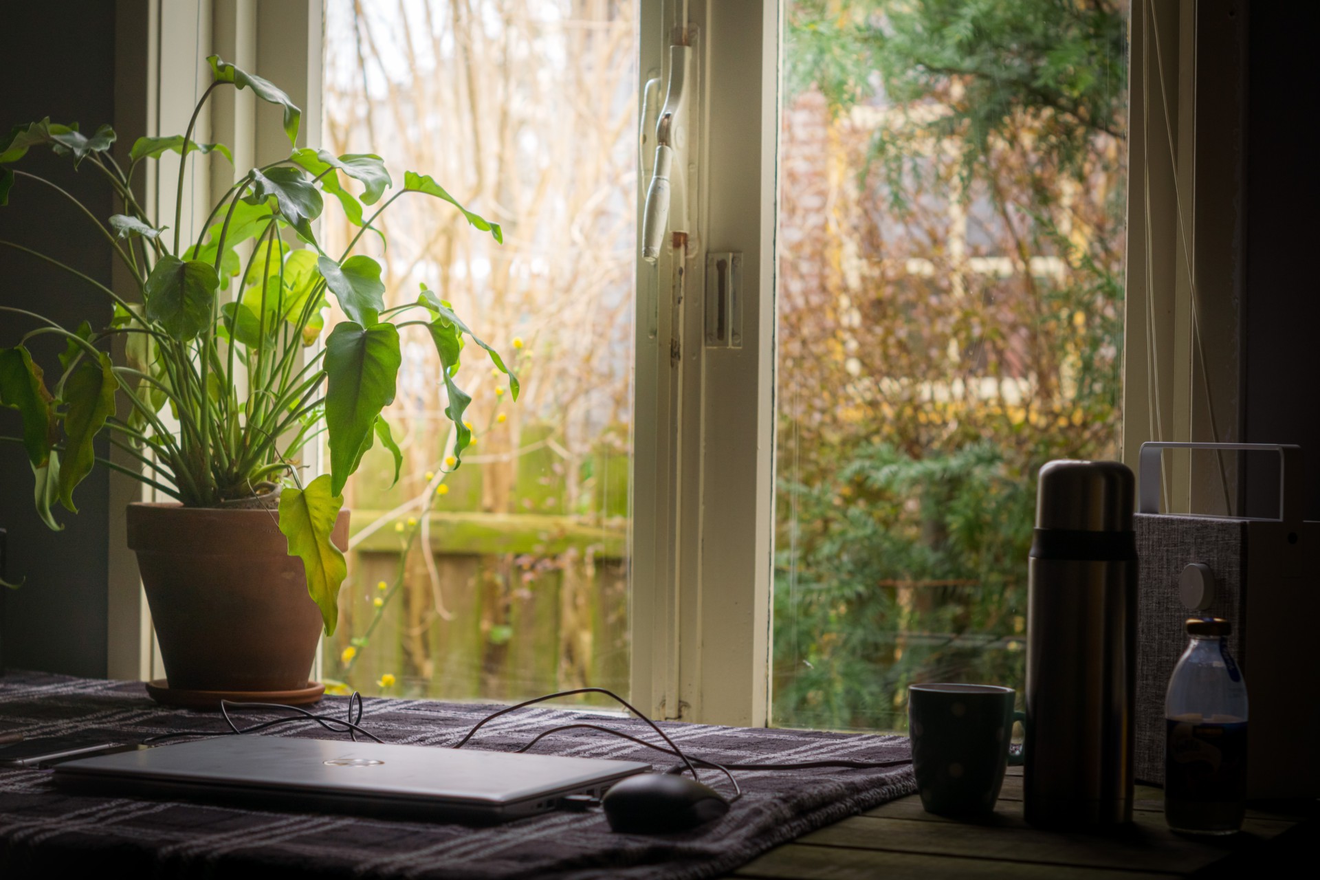 10 Top Tips For Working From Home