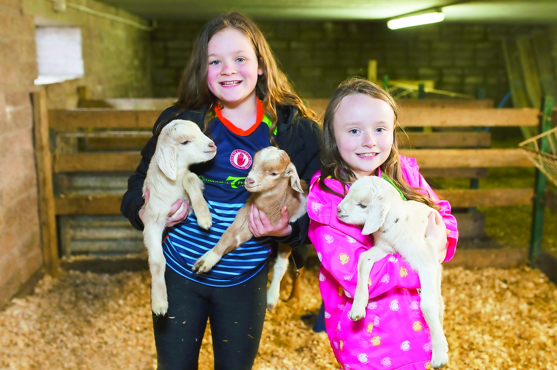 New kids on the block with birth of triplet goats