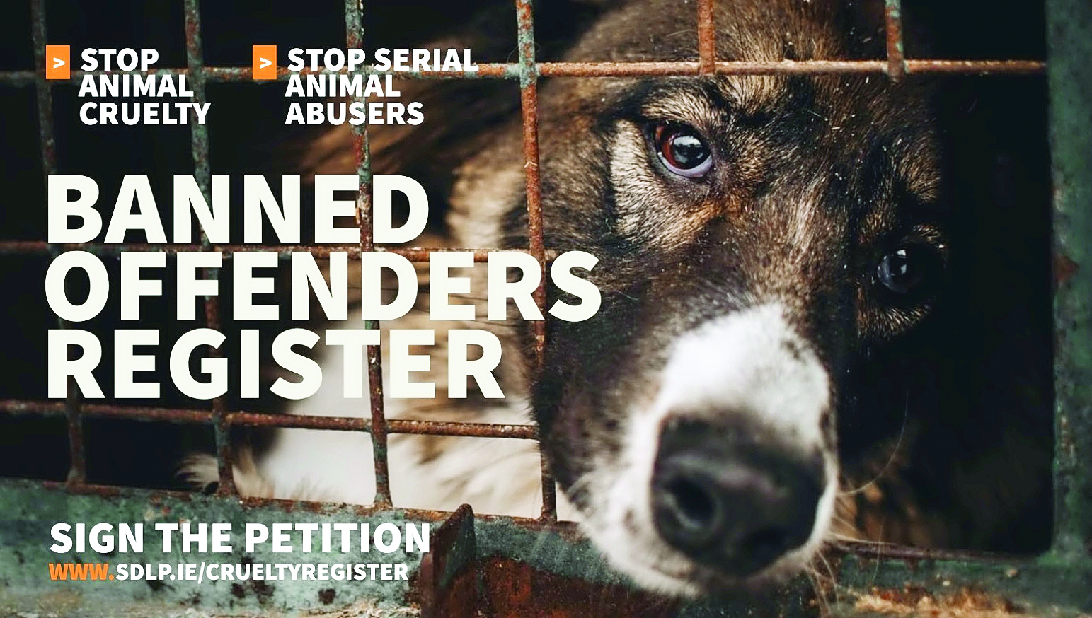 Thousands back petition bid for animal cruelty register