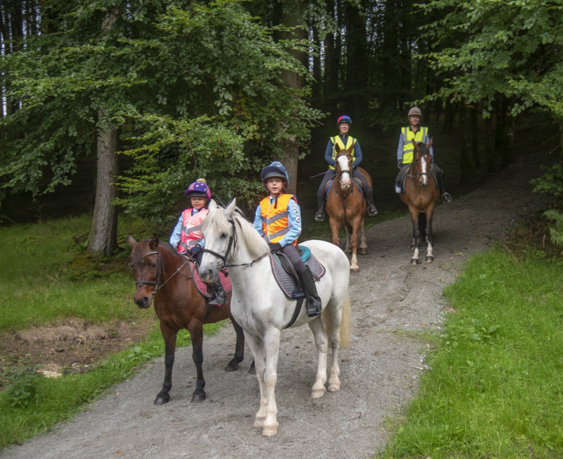 Local tourism gallops forward with horse trail