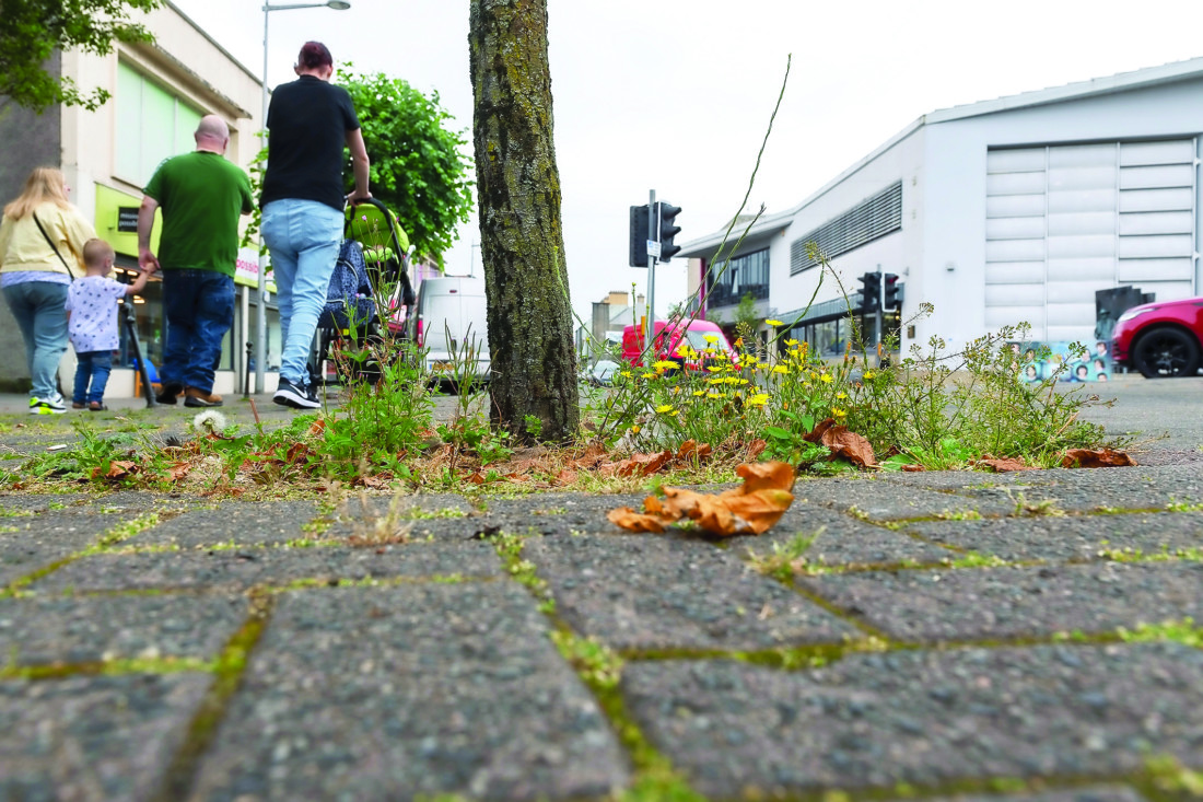 ‘Weed reduction small step in right direction’