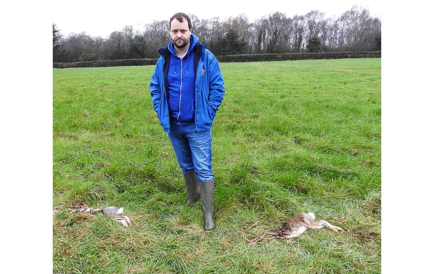 Slaughter of hares branded as barbaric