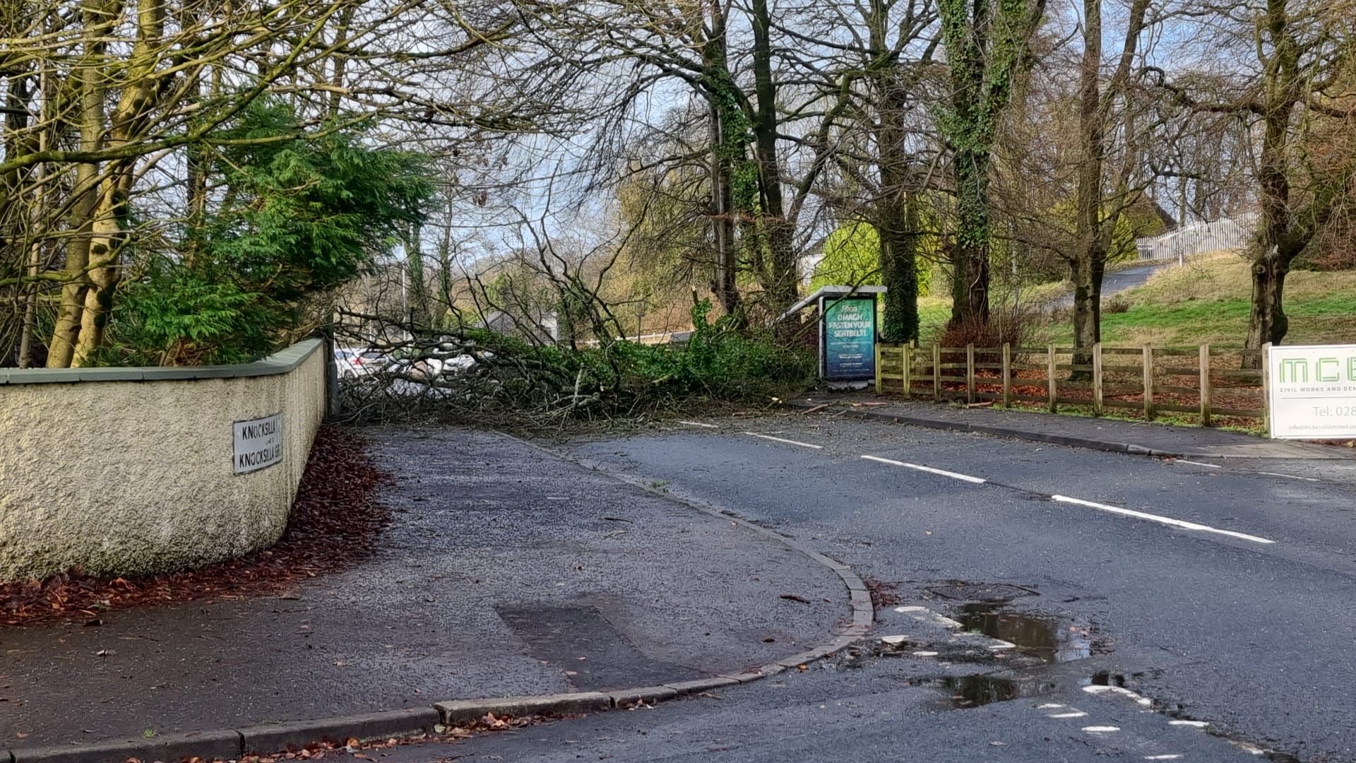 Omagh road remains closed after falling tree causes bus shelter to collapse