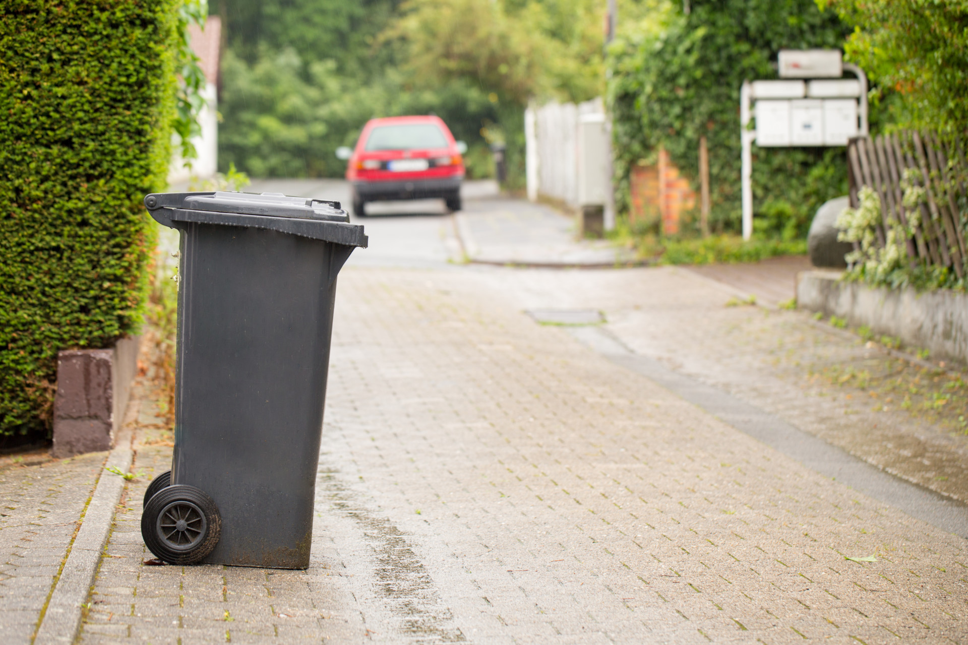 Council issues advice on Christmas bin collections and recycling