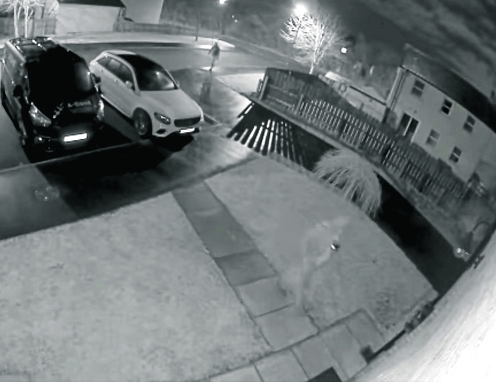 CCTV captures thieves’ attempt to steal keyless vehicle in Bush