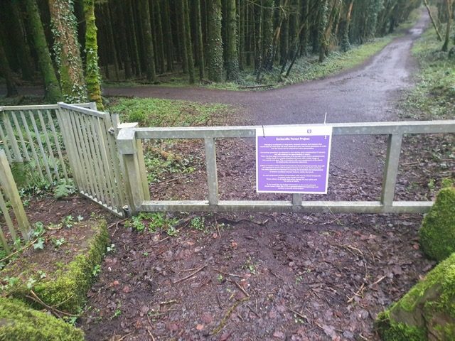 Work begins to improve biodiversity at Ecclesville Forest Park