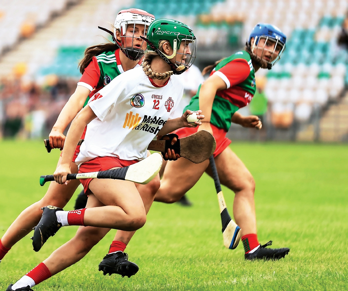 Club glories can spur on Tyrone camogs says Sherlock