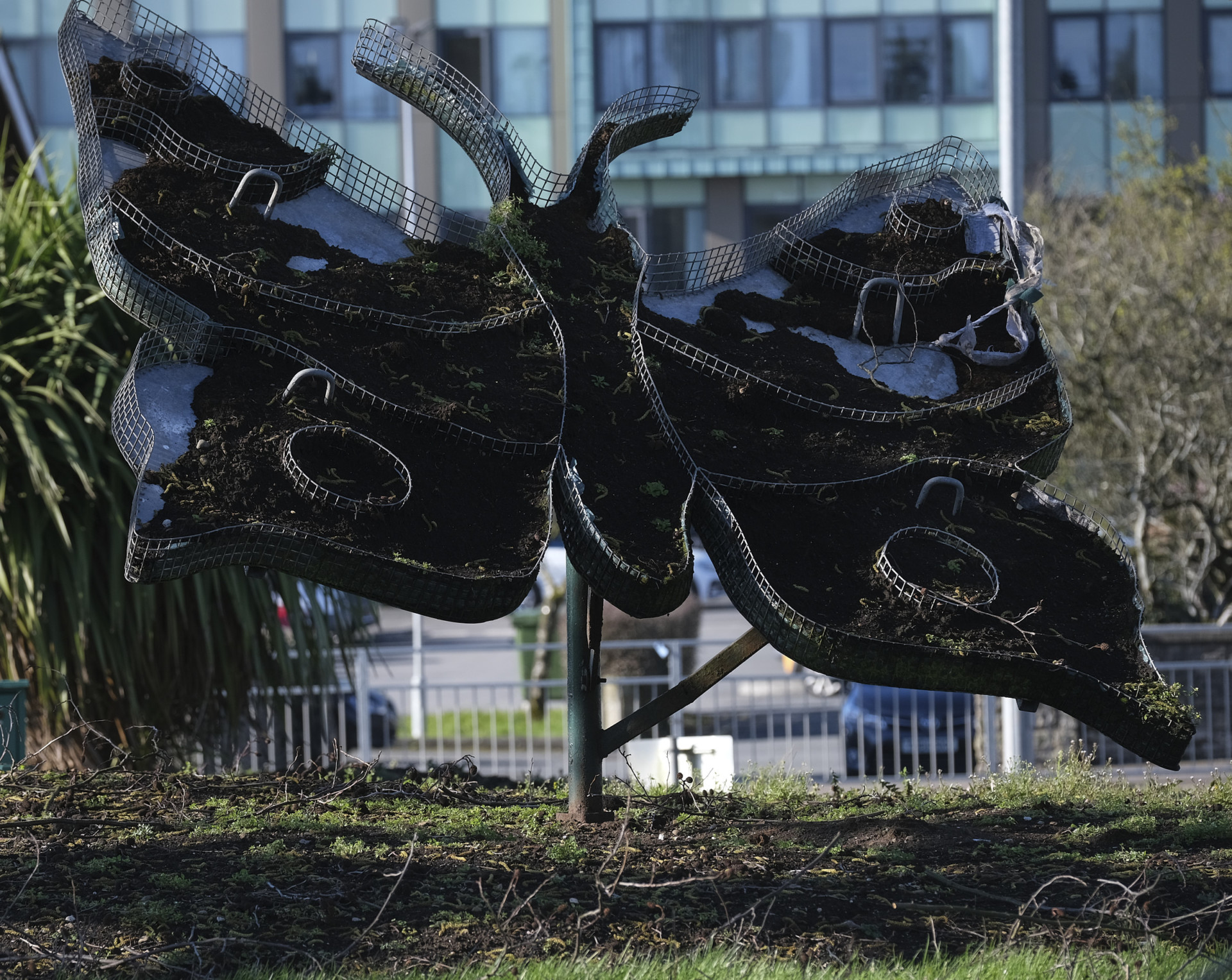 Town’s butterflies to take flight