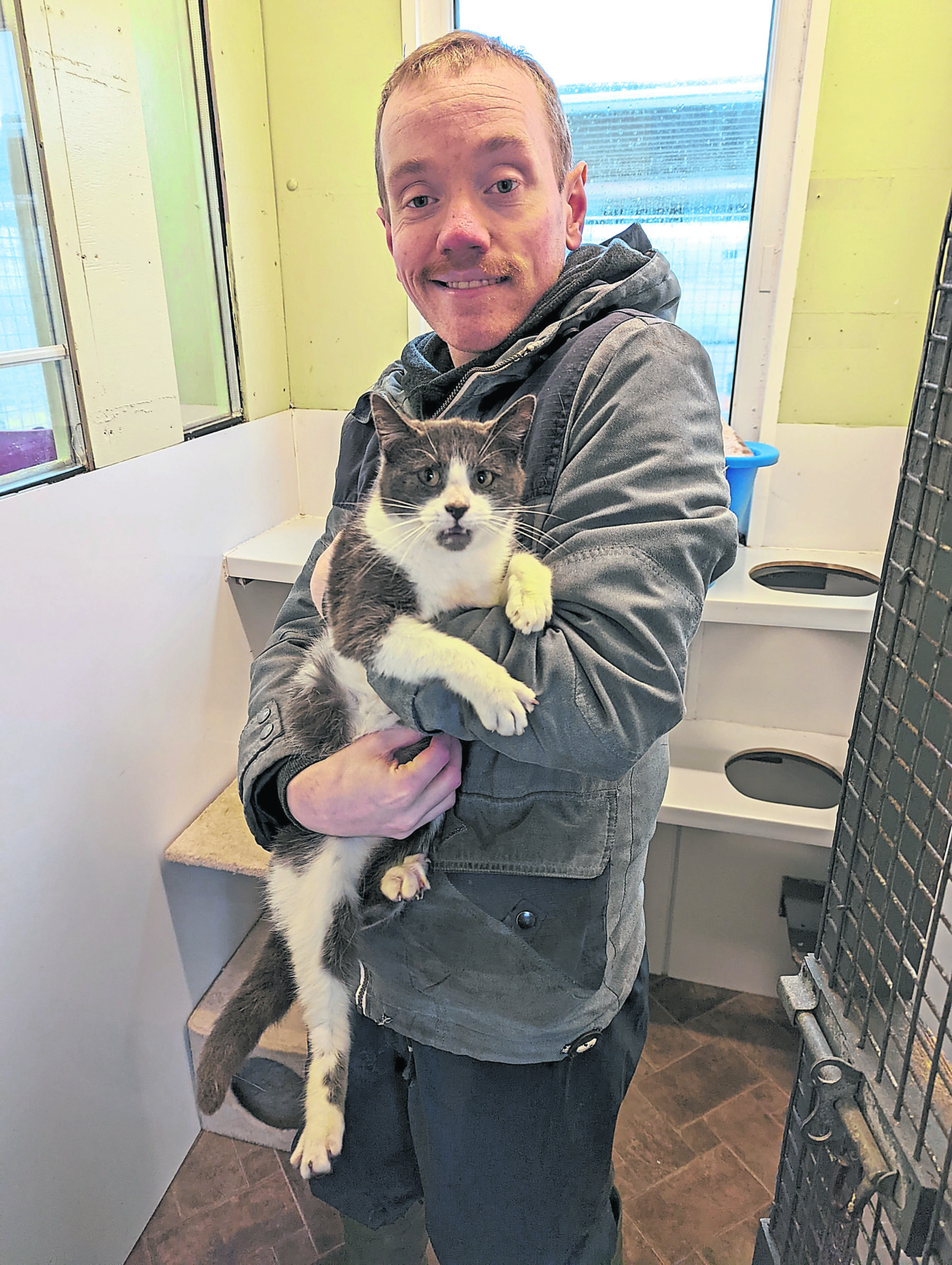 Grovehill launch kitten appeal to give felines best ‘paw’sible start