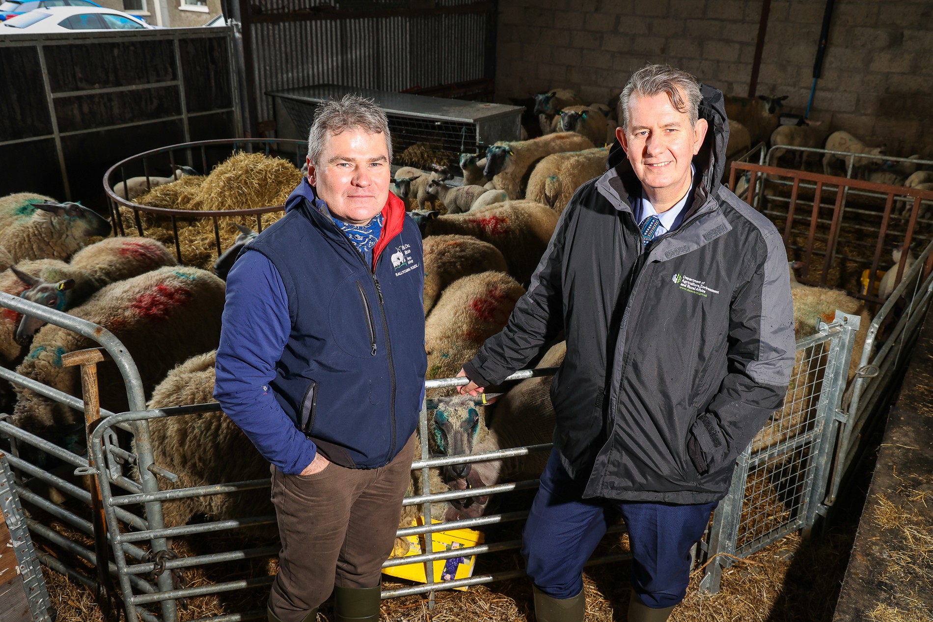 Farmers encouraged to apply for £300m Single Application funding