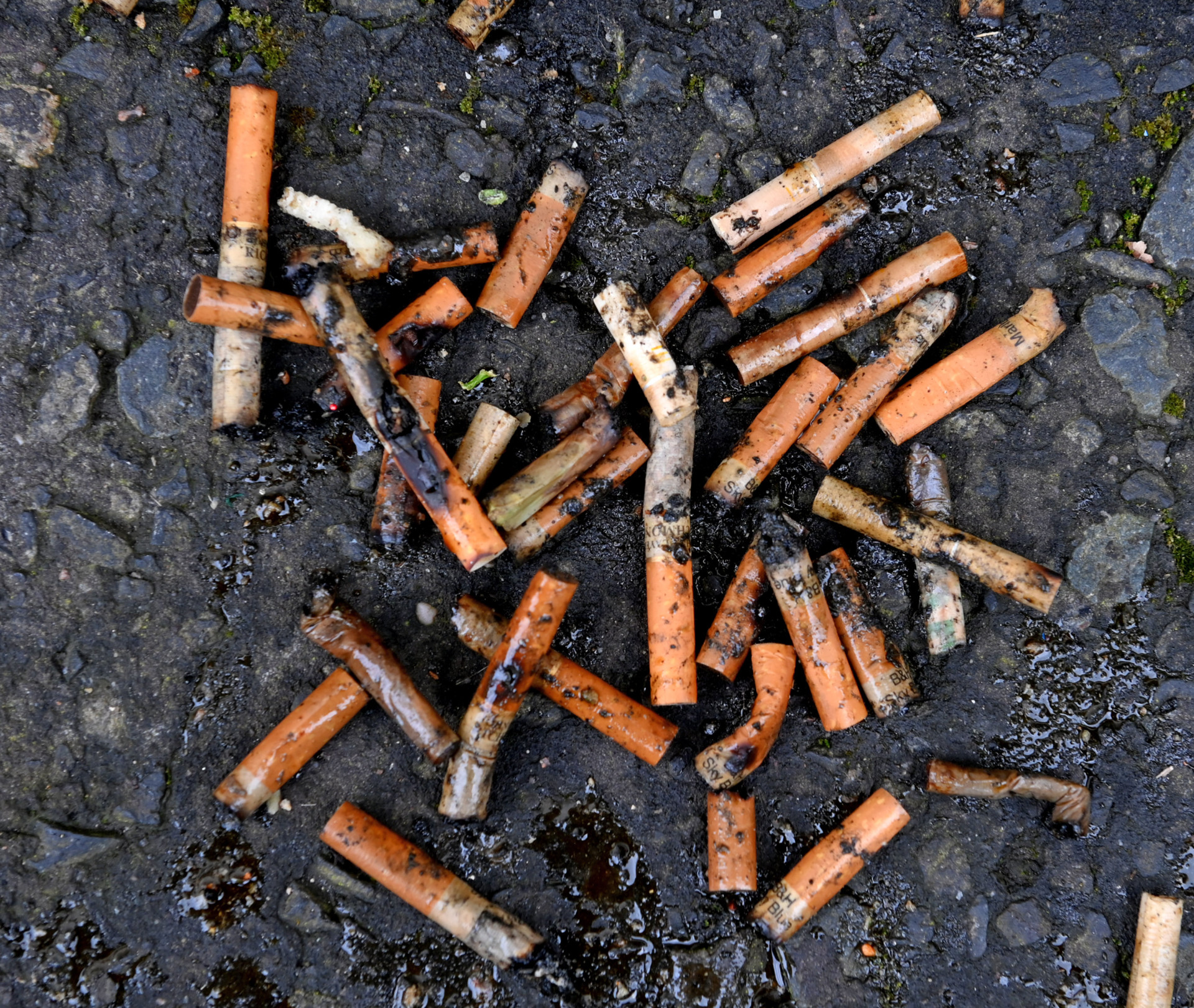 Smokers hit hardest in new anti-littering scheme