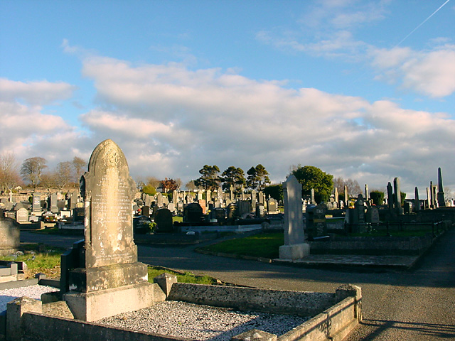 Councillor urges vigilance as thefts continue at cemeteries across South Tyrone