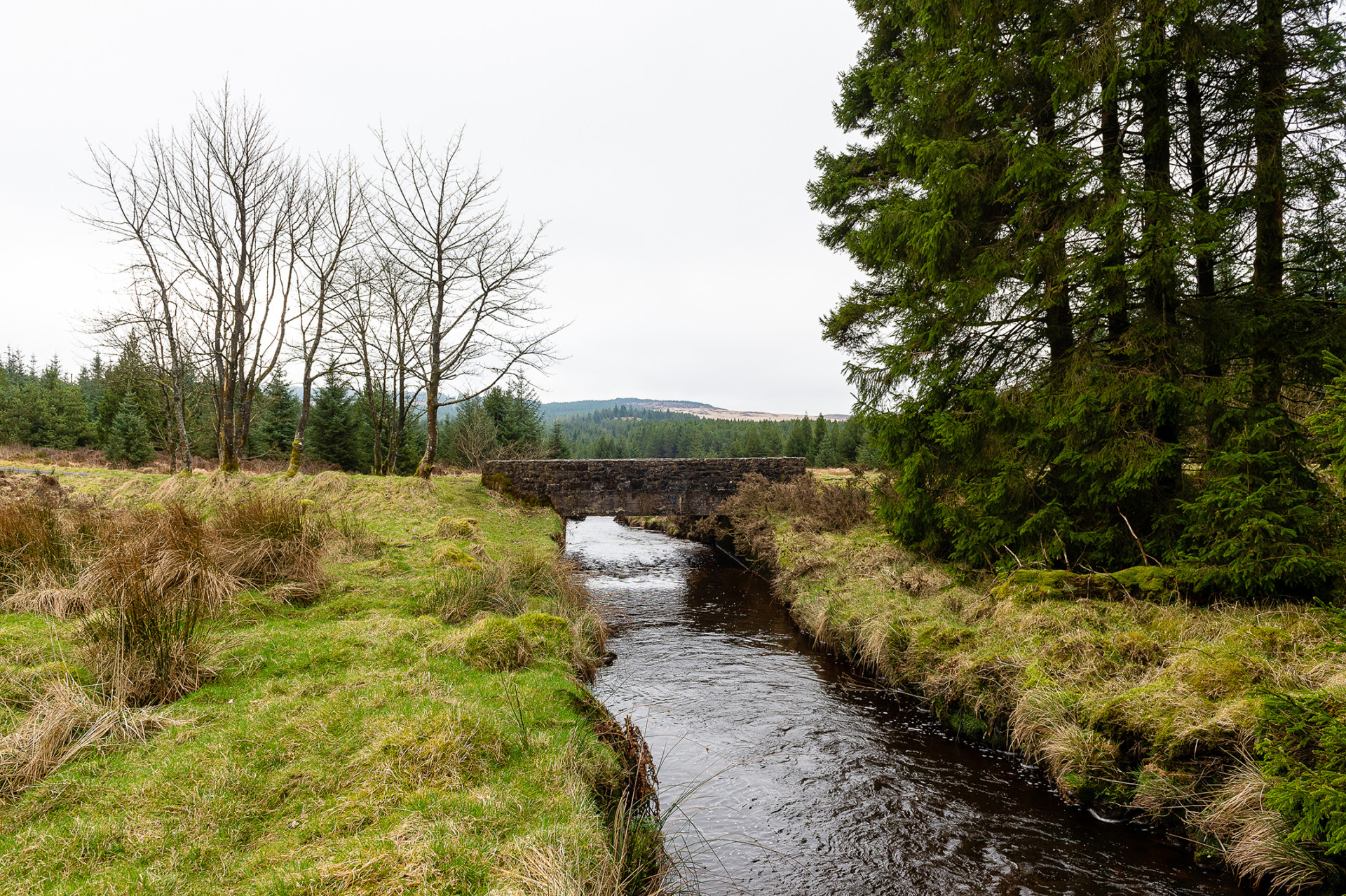 Bog restoration plans welcomed