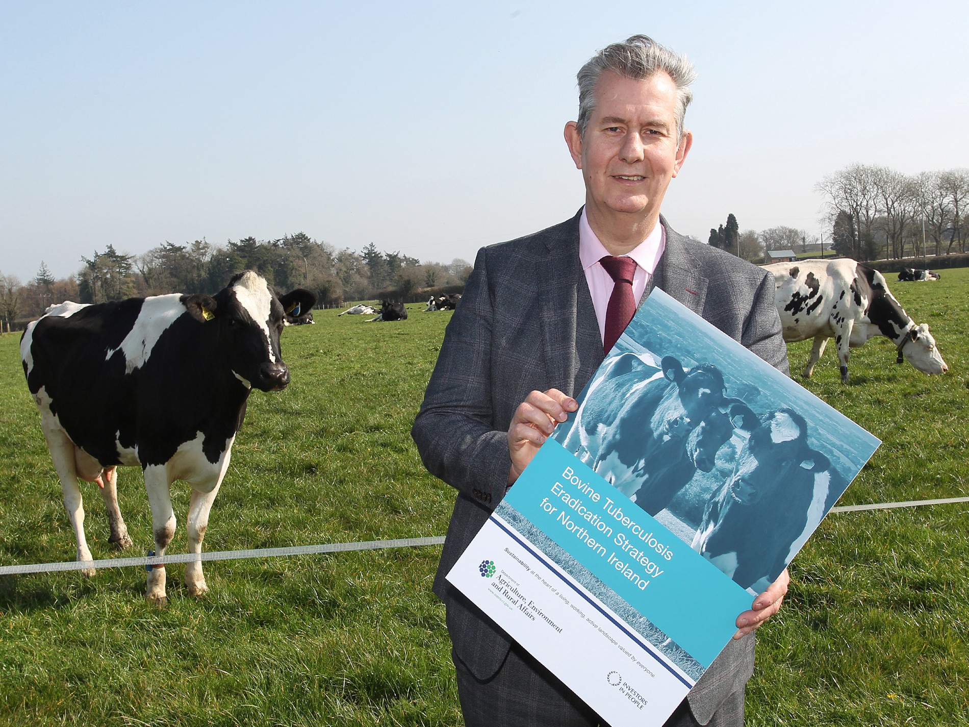 Poots publishes plan to tackle bovine TB