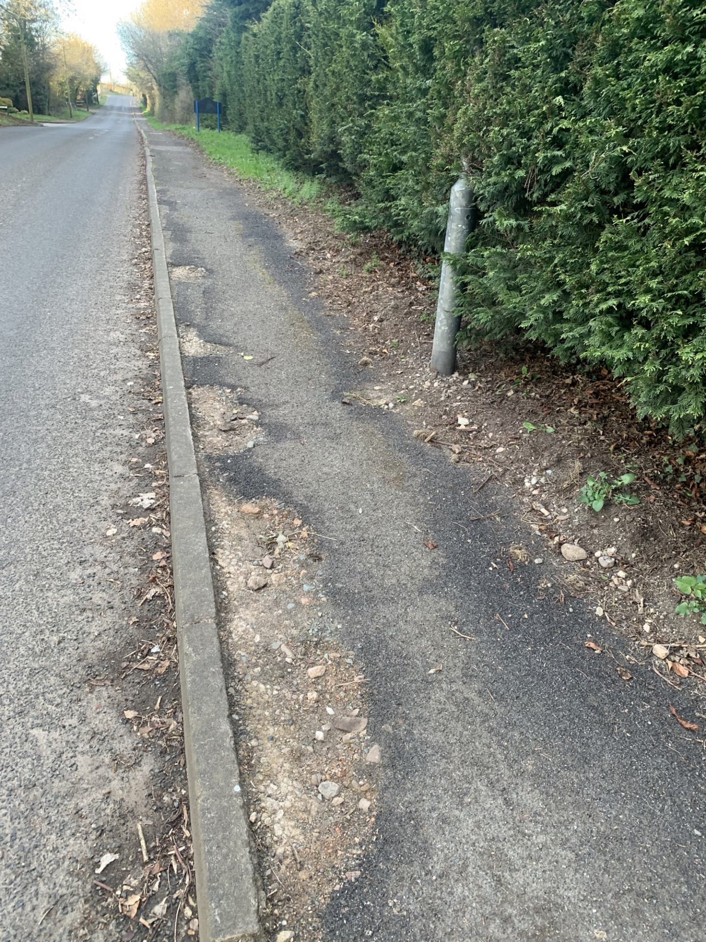 Concerns raised over crumbling footpaths in south Tyrone villages