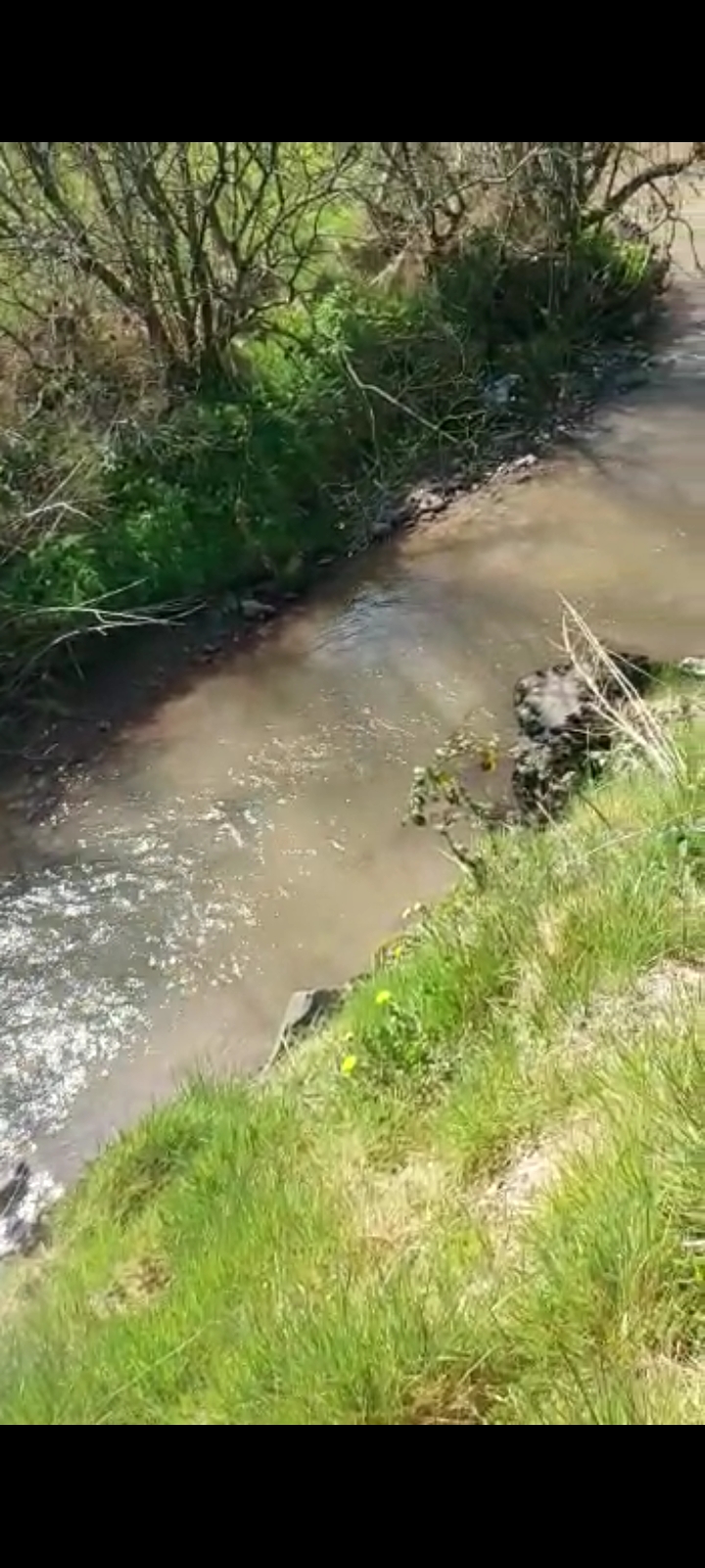 Concerns raised over latest pollution of Camowen River