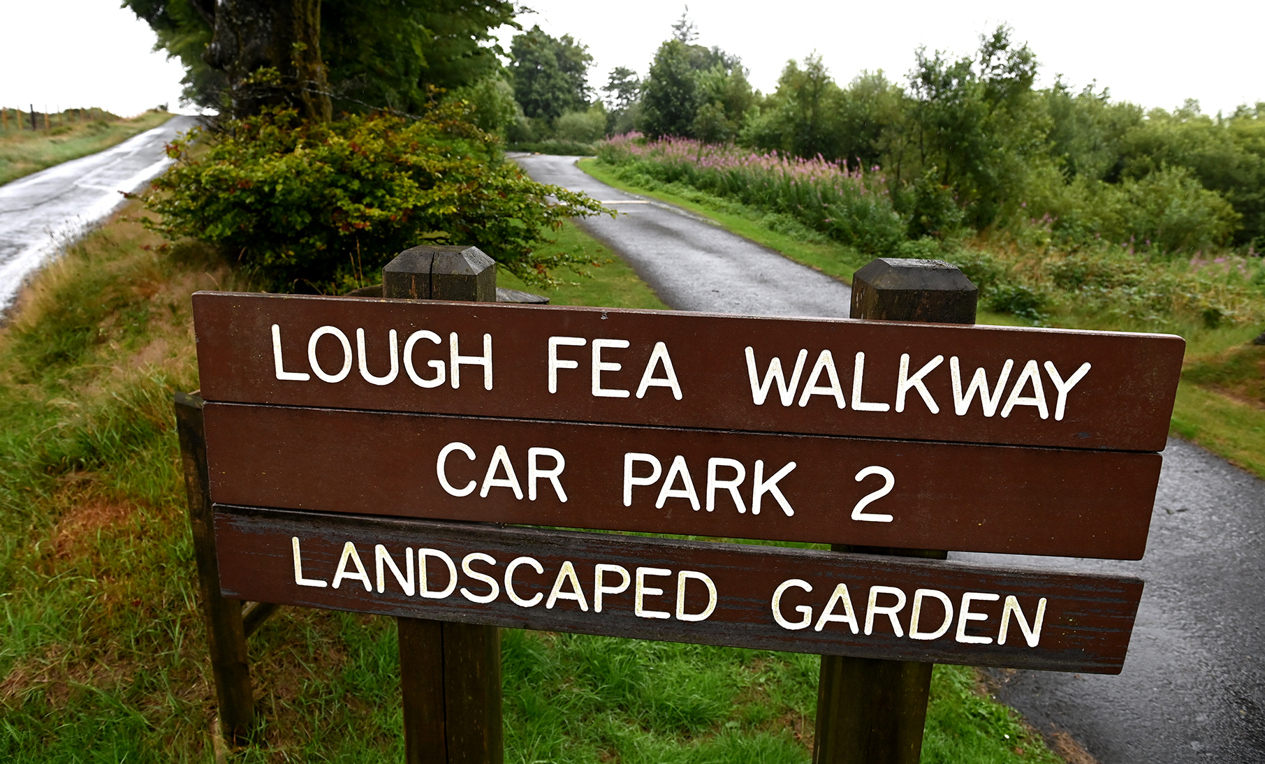 Almost 400 cases of dog fouling in two weeks at popular lough trail