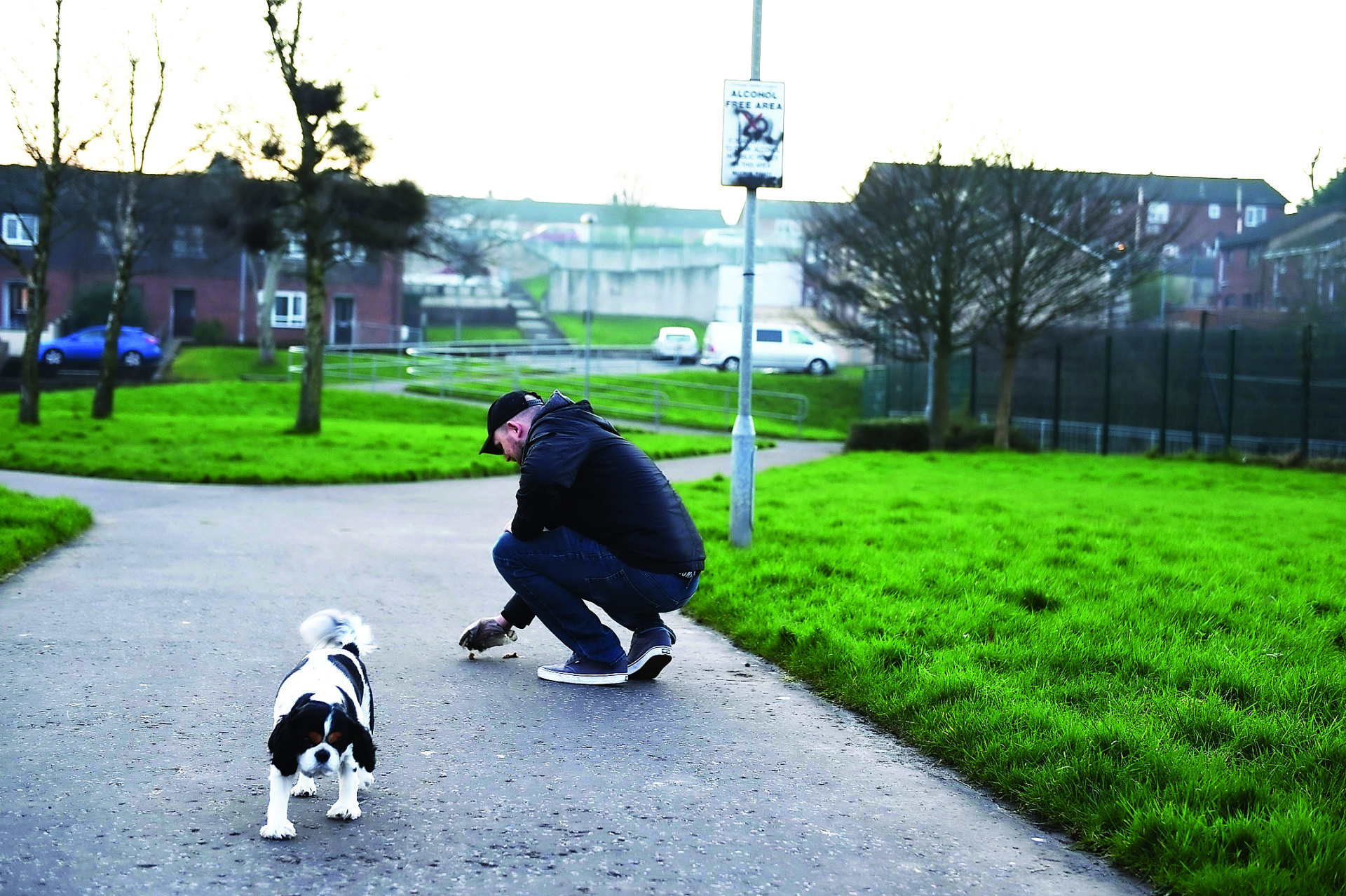 Council steps up fight against dog fouling