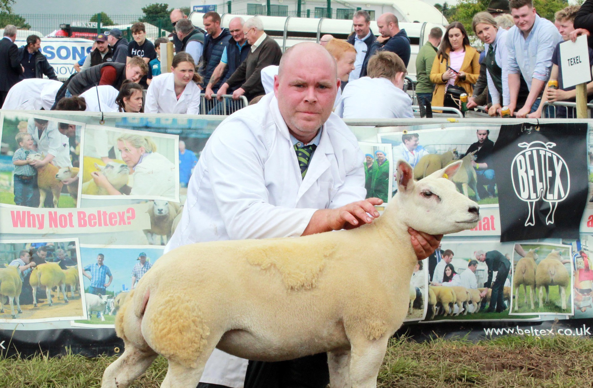 Omagh Beltex breeder enjoys multiple success