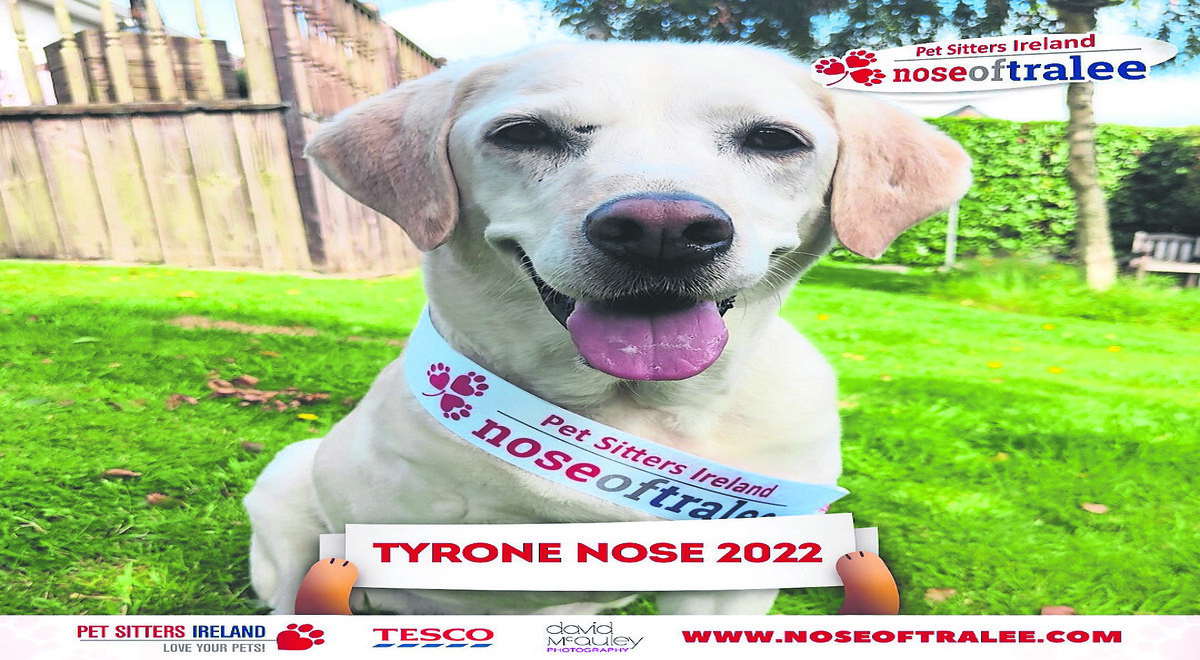 Pawsome pooch representing Tyrone in ‘Nose of Tralee’