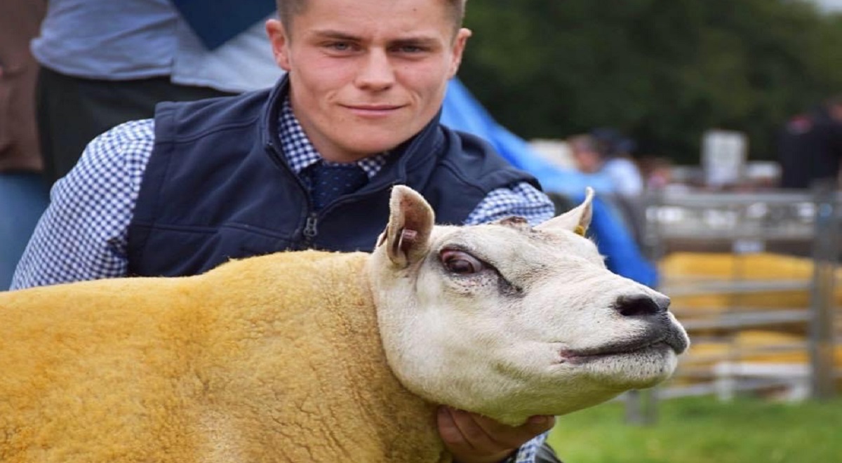 ‘Eye-catching’ sheep on offer at Beltex sale