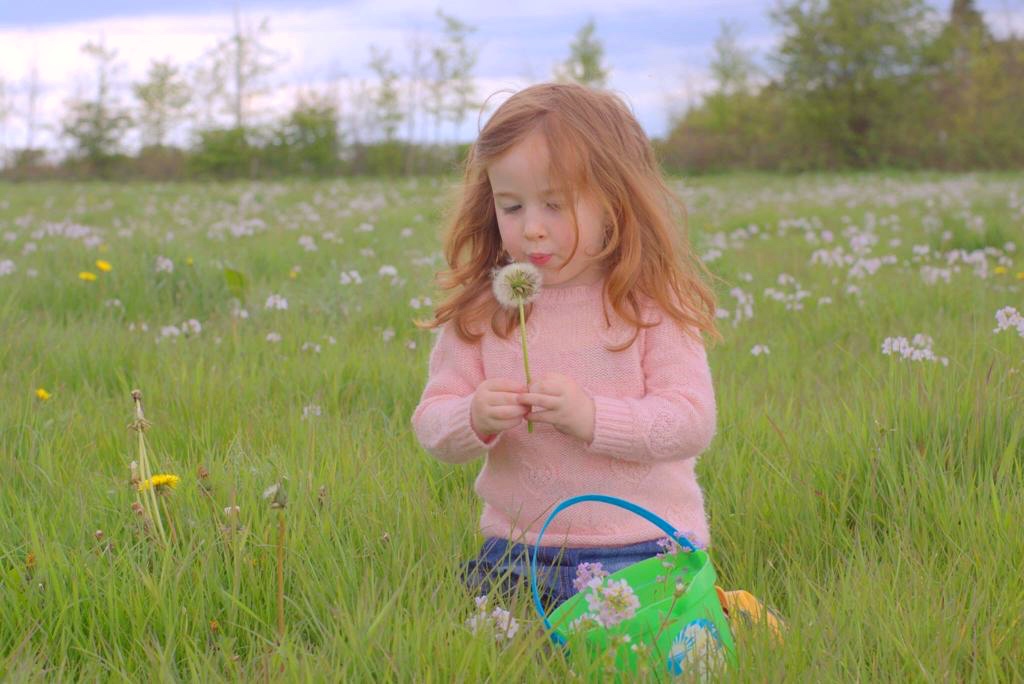 Colette snaps top prize with stunning photo