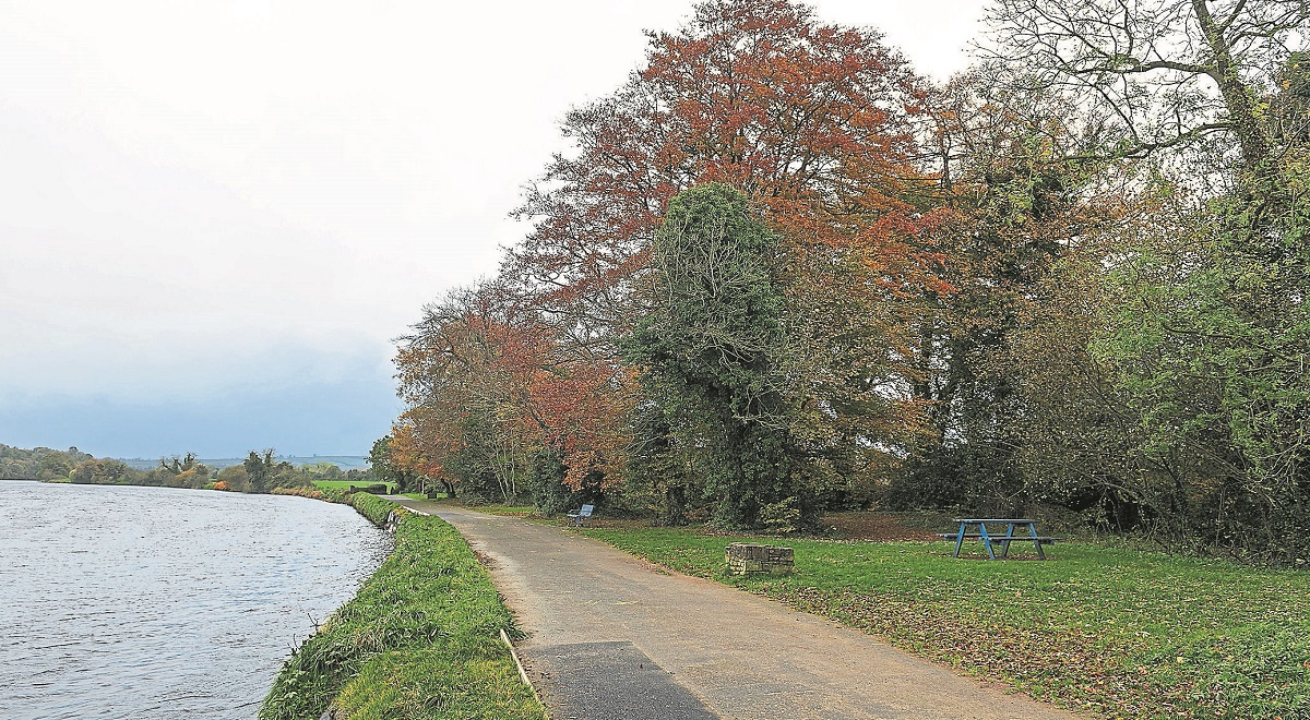 Council workshop on Sion walk welcomed