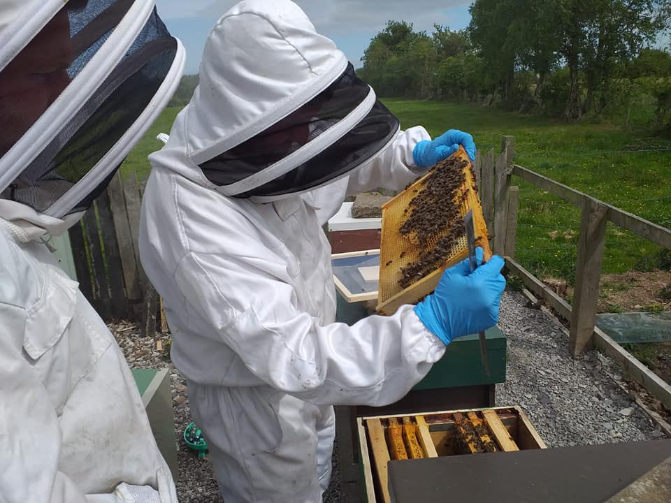 Tyrone beekeeper sweet on health benefits of honey
