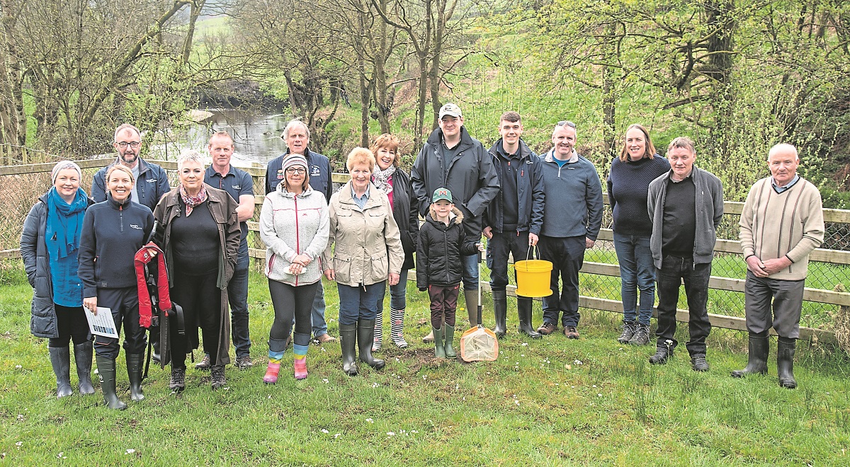 Local group learns about maintaining Glenelly waterways