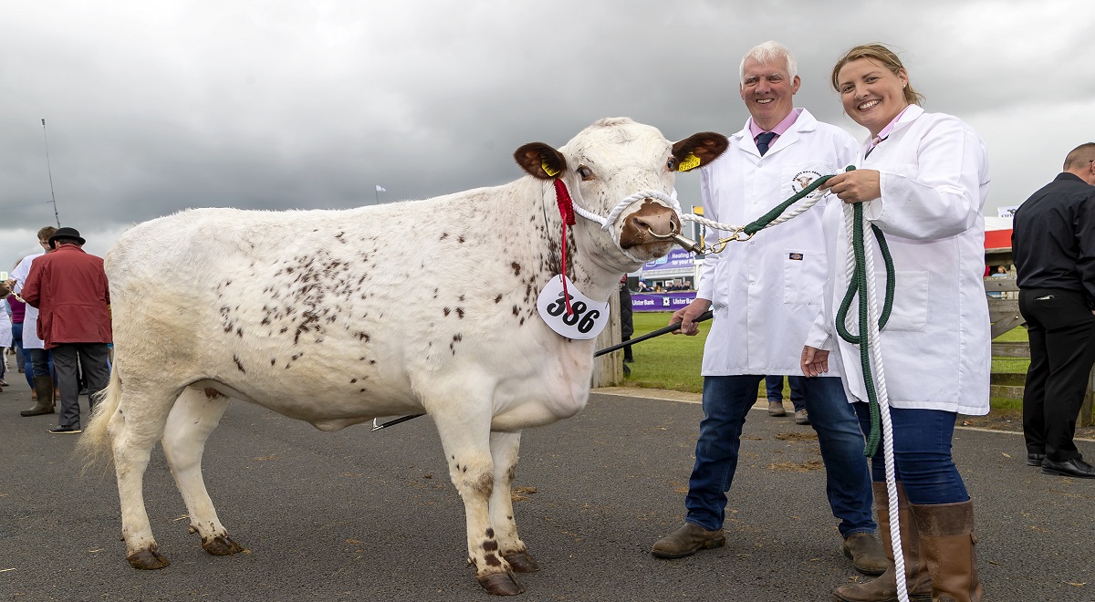 Crowds flock to Balmoral Show