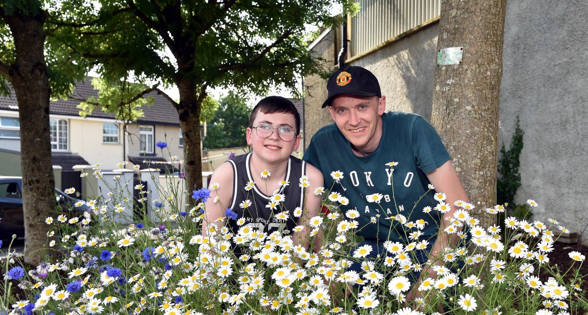 Springhill Park Strabane a ‘bee friendly flower haven’
