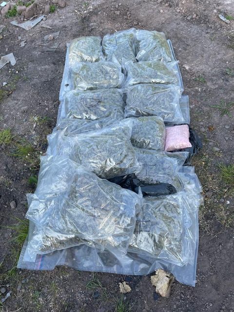 Drugs worth £250,000 seized in Omagh