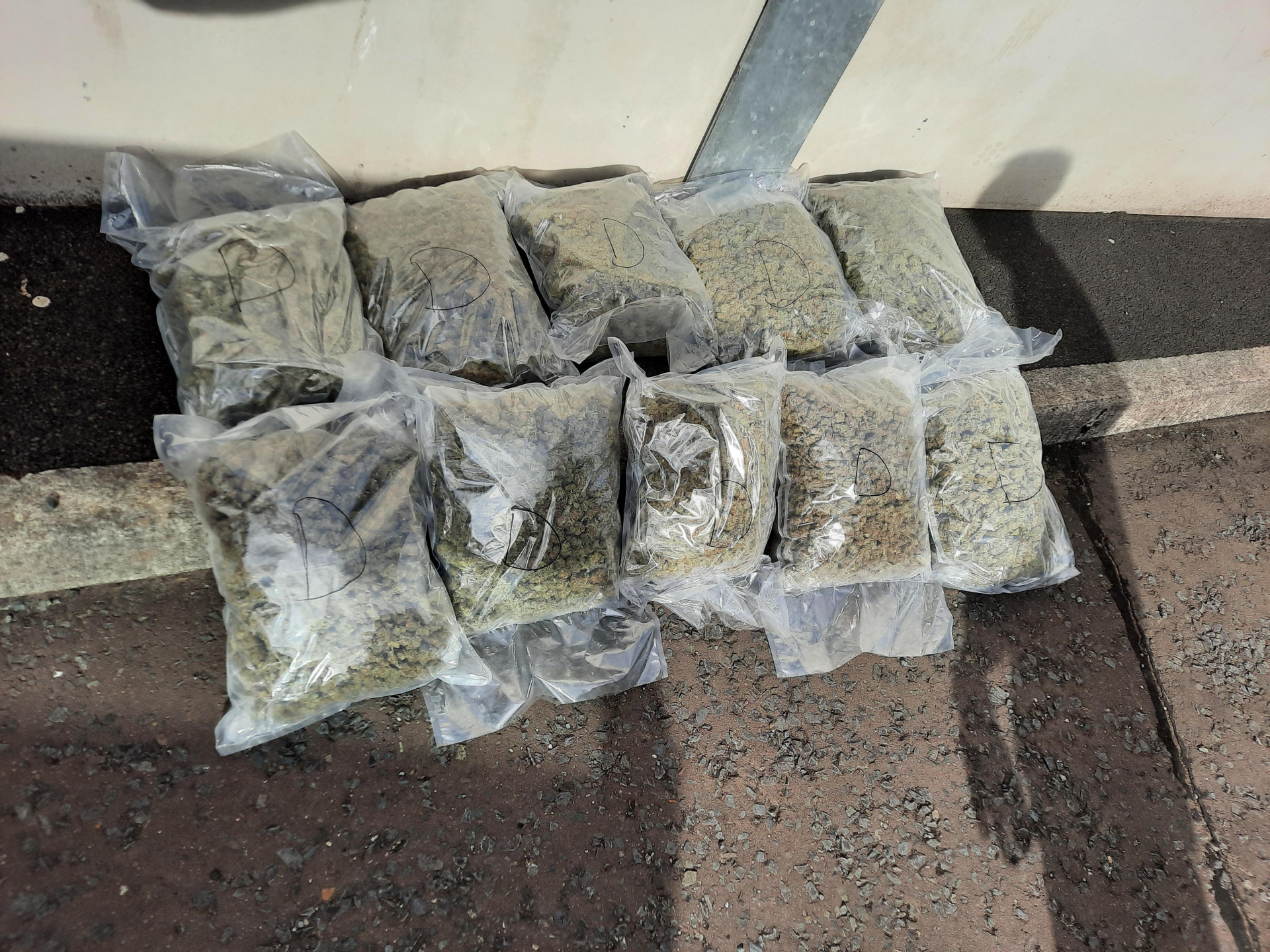 Large quantity of cannabis seized