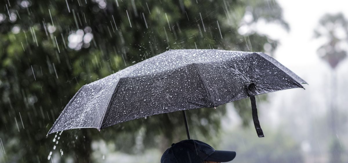 Mid Ulster council will ‘sort out’ umbrellas for elected members