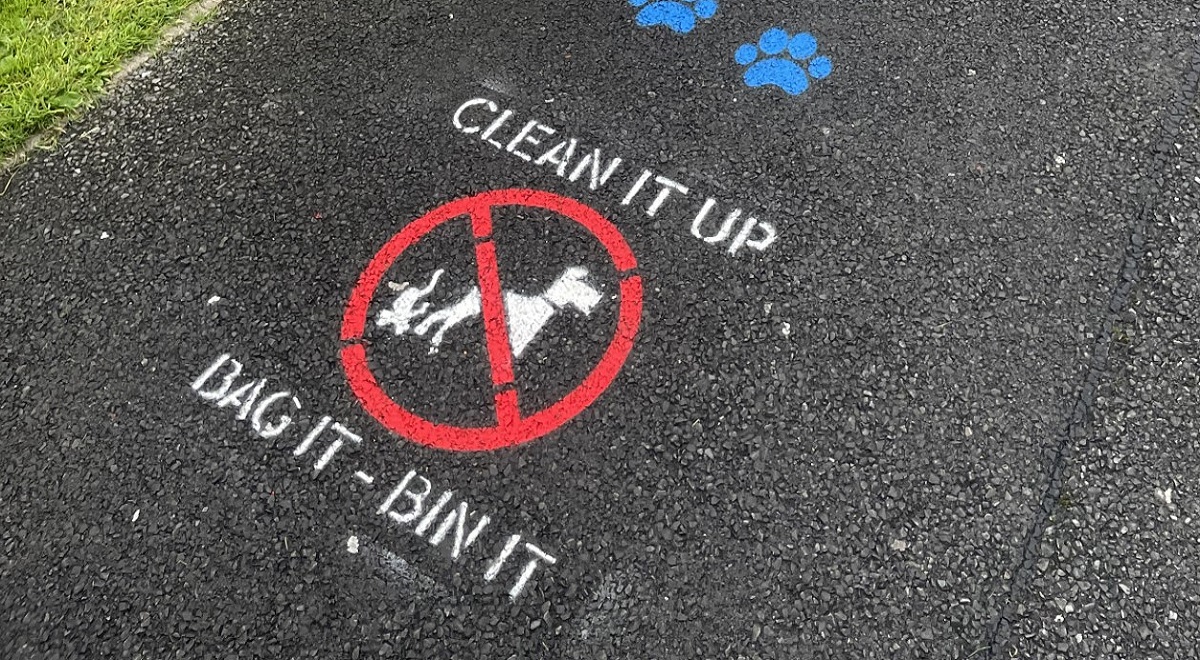Don’t fall ‘foul’ of council crackdown on dog poop