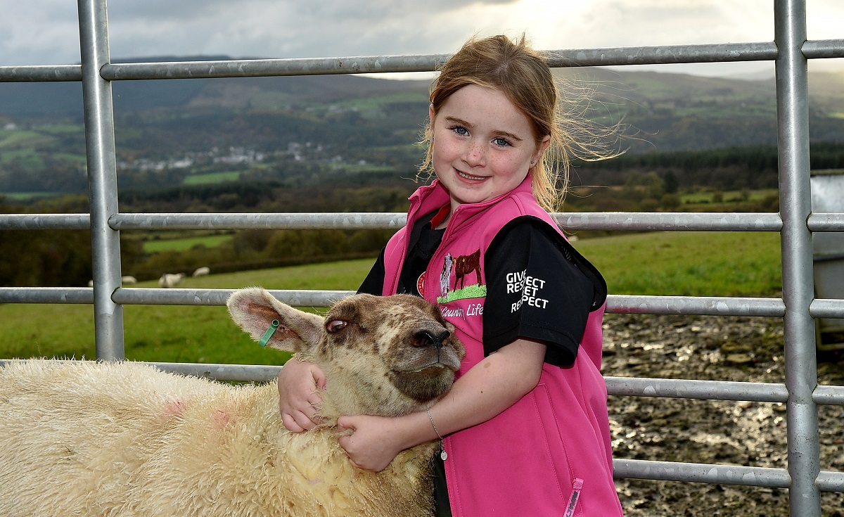 Lamb sale raises thousands for charity in memory of Christy