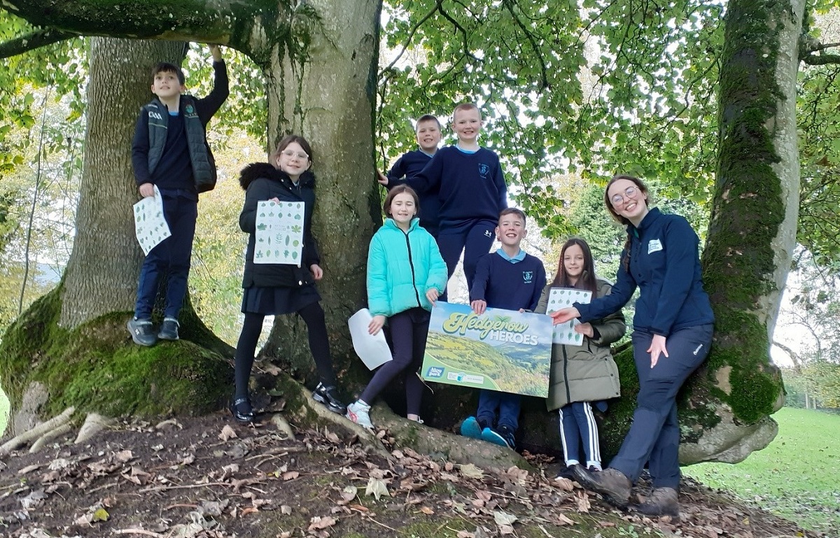 St Joseph’s PS named winners of environmental competition