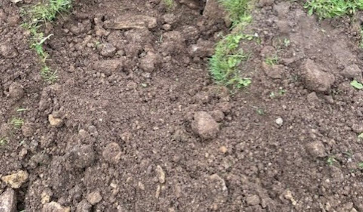 Nearly a third of cases in soil sample scandal in local area