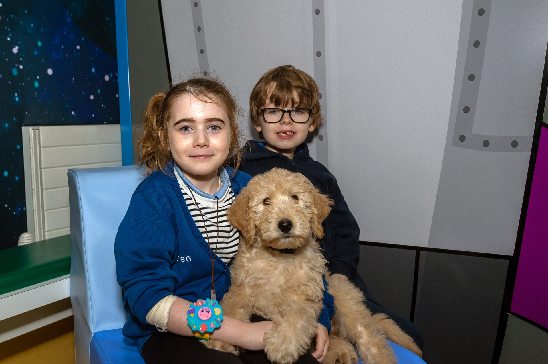 School launches fundraiser to train Póga the assistance dog