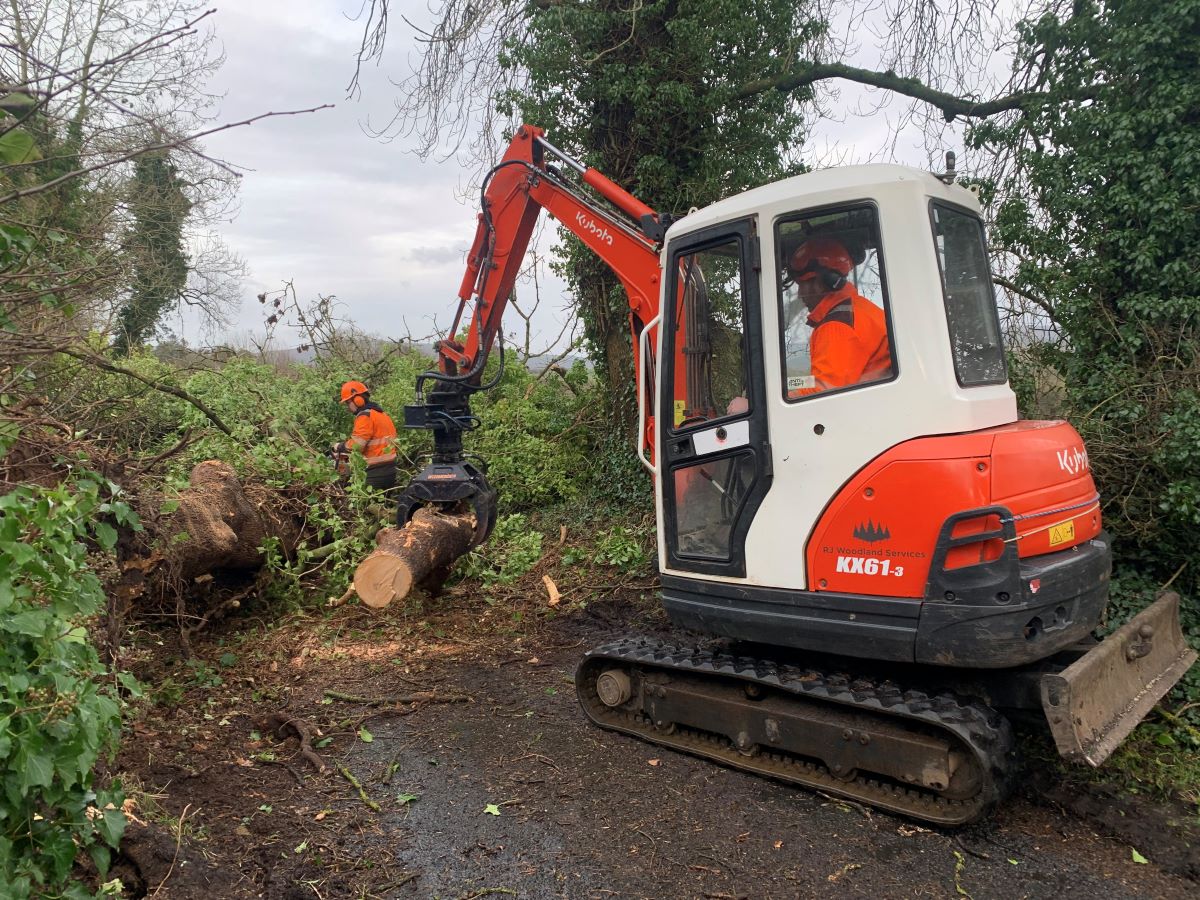 A Tyrone firm cleared fallen trees for free after Storm Isha