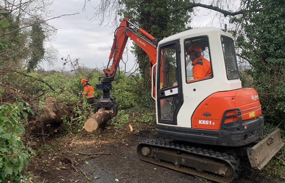 Omagh woodland company offer assistance following Storm Isha