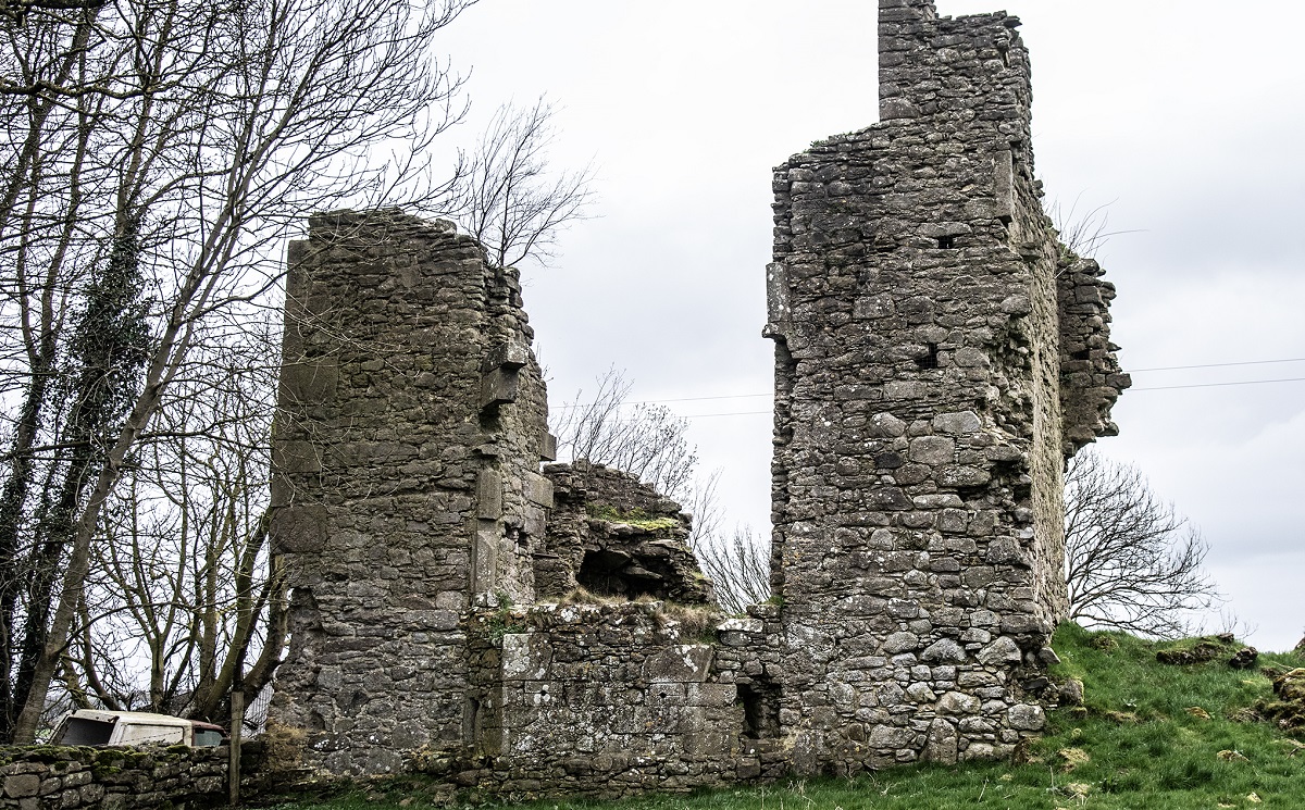 Castle of the Curlews