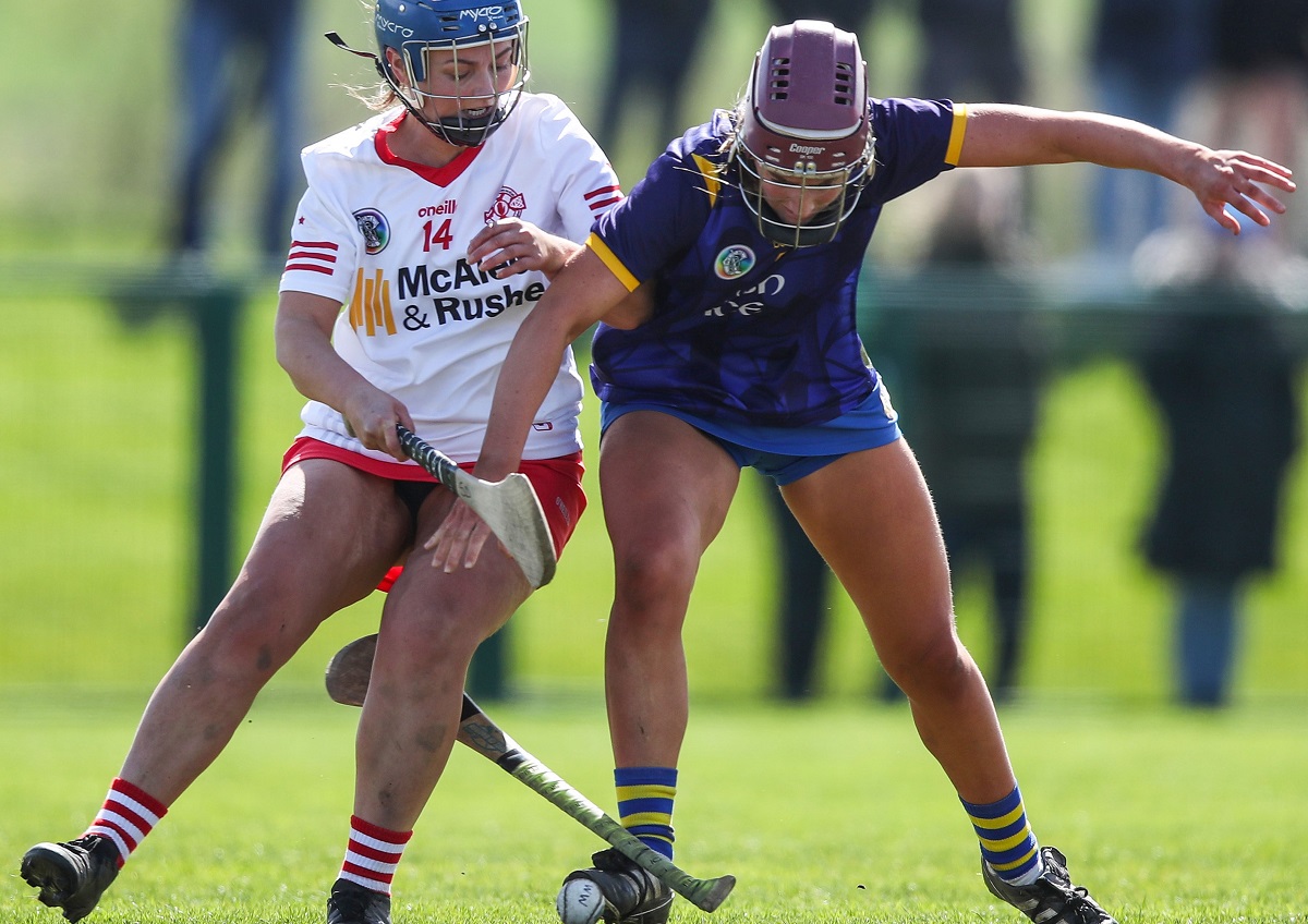 Donnelly believes hard work has paid off for Camogs