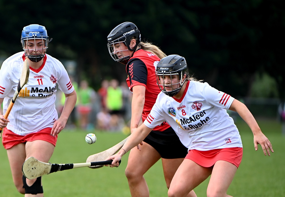 High-flying camogs set for Orchard trip